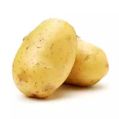 বড় আলু
