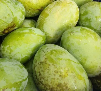 ফজলি আম