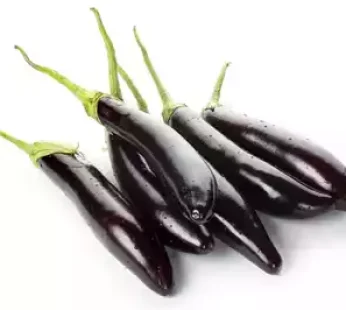 বেগুন