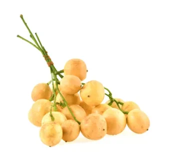 লটকন