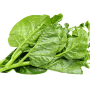 পুঁইশাক